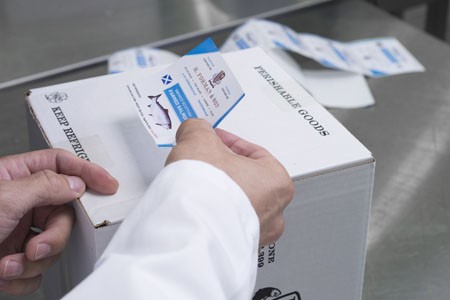 EPSON barvni tiskalniki