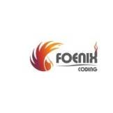 Foenix coding